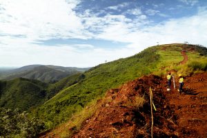 Investissement CROISSANCE ÉCONOMIQUE AFRIQUE